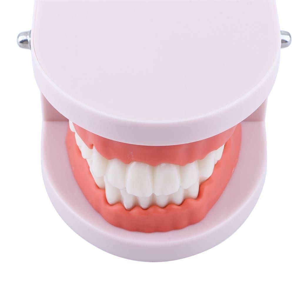 Medical Lab Study - Lab Pro White Study - Modelo