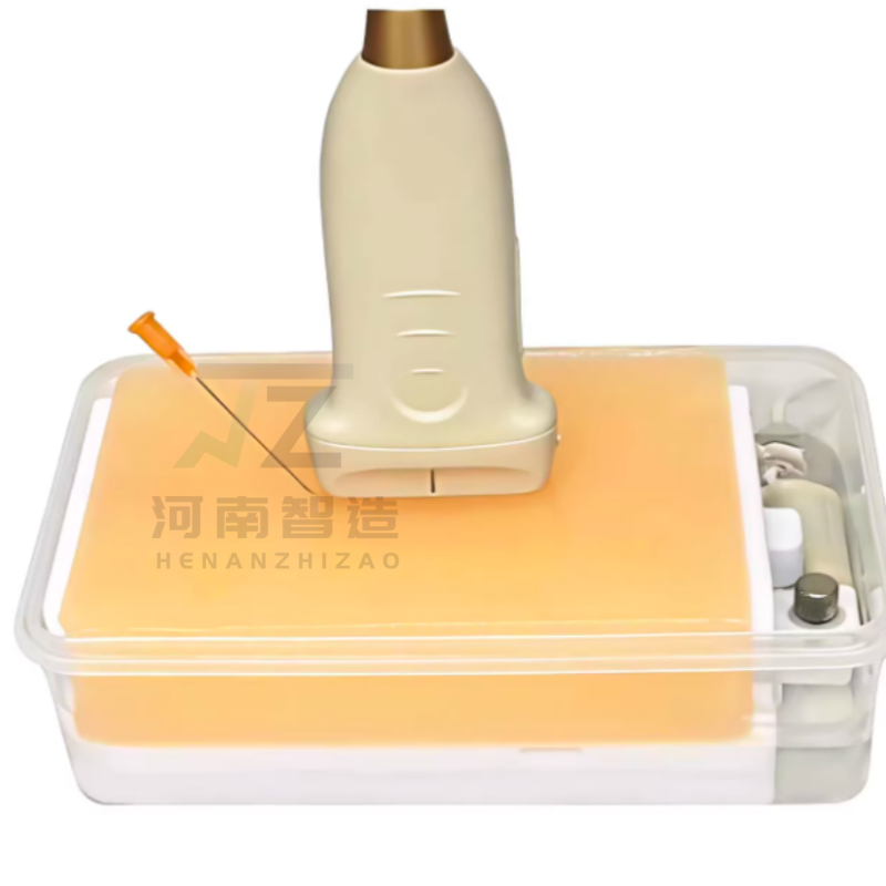 Modelo de Treinamento para Pun - Medical Gel Ultrasound avaliação e preço