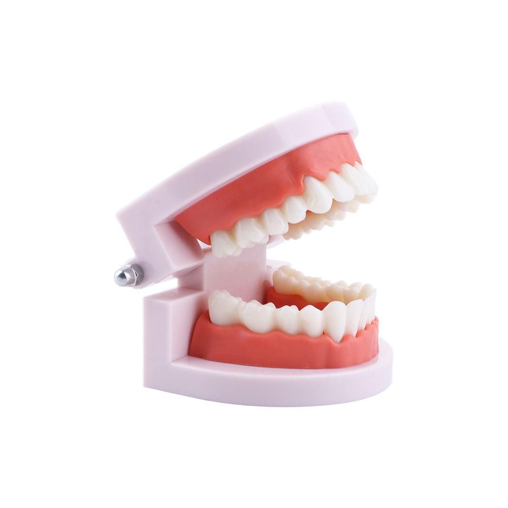 Lab Pro White Study - Modelo P - Medical Lab Study avaliação e preço